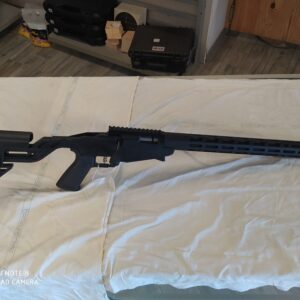 carabine ruger precision calibre 22 lr