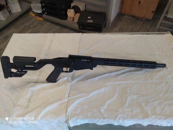 carabine ruger precision calibre 22 lr